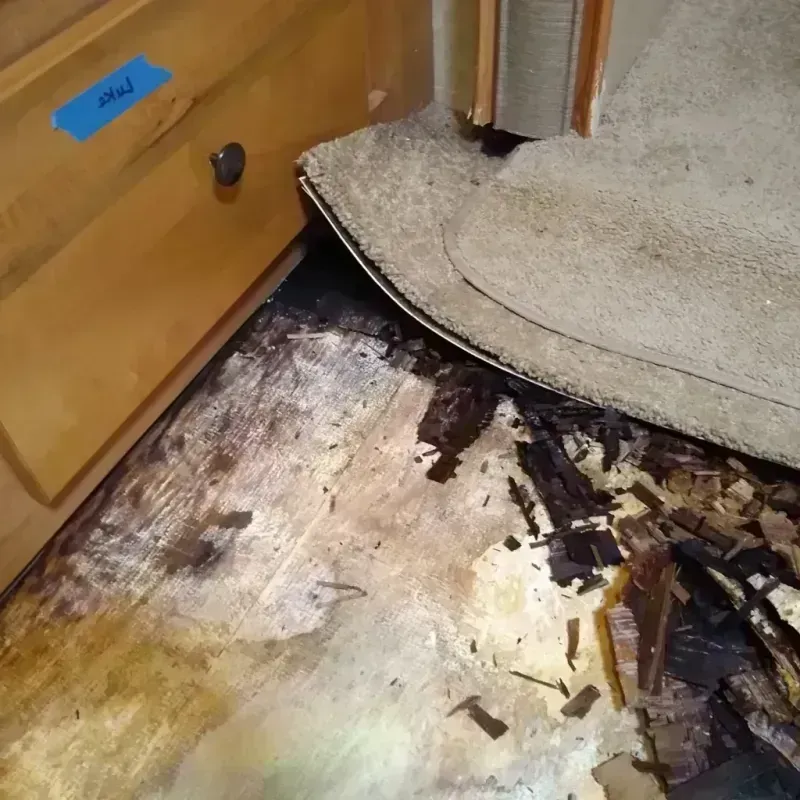 Wood Floor Water Damage in New Braunfels, TX